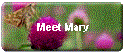 Meet Mary