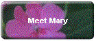 Meet Mary