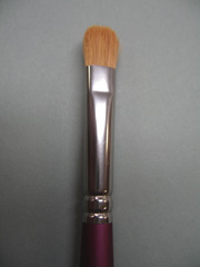 Brush 2010 Oval Dry/ Fabric